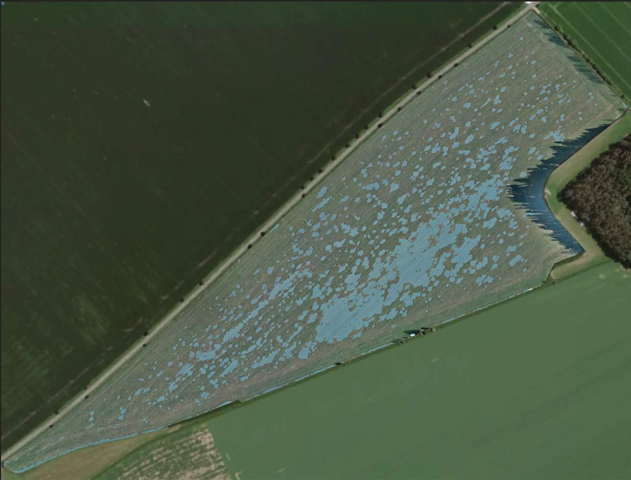 Řepka - selektivní mapa